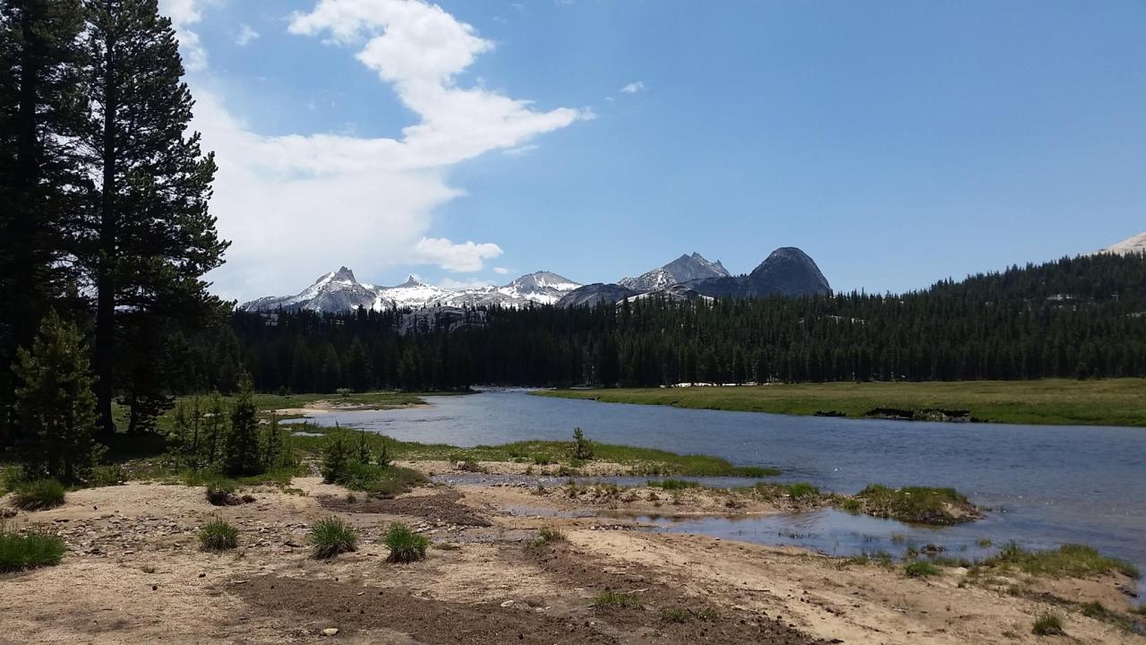 Tuolumne meadows